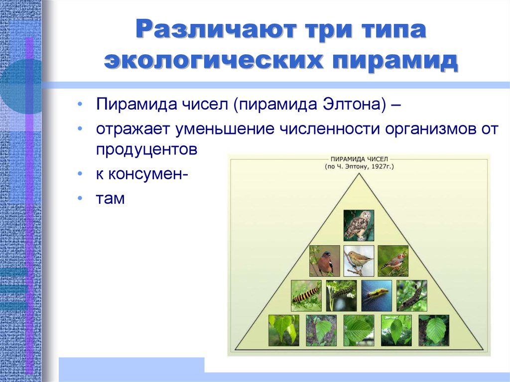 Типы экологических проектов