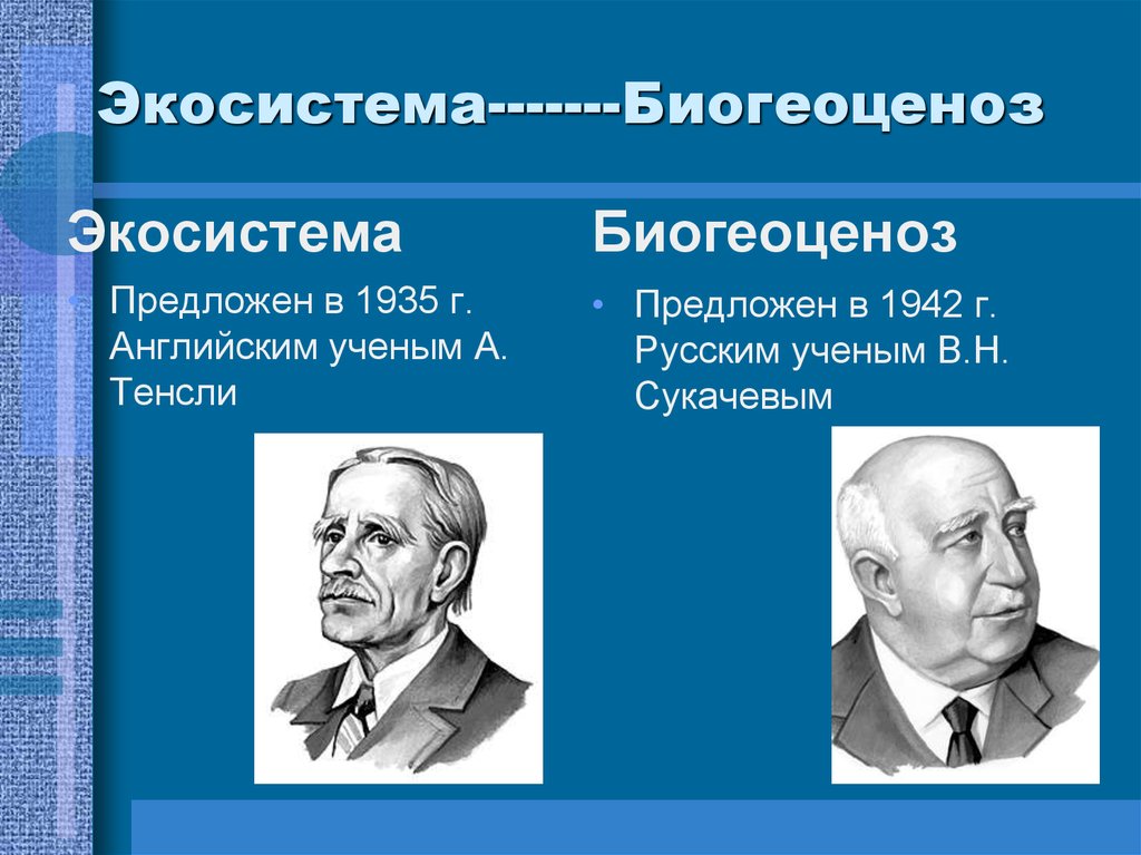 Биогеоценоз презентация 9 класс