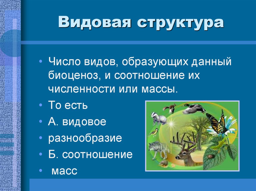 Виды видового состава. Число видов, образующих данный биоценоз,. Видовая структура огорода. Разнообразие видов и соотношение их численности и массы. Количество видов в биоценозе.