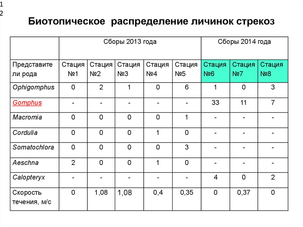 Внешний вид личинок стрекоз