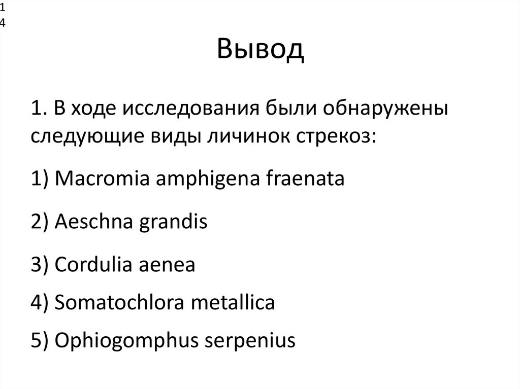 Пищевые предпочтения личинок стрекоз рода Gomphus