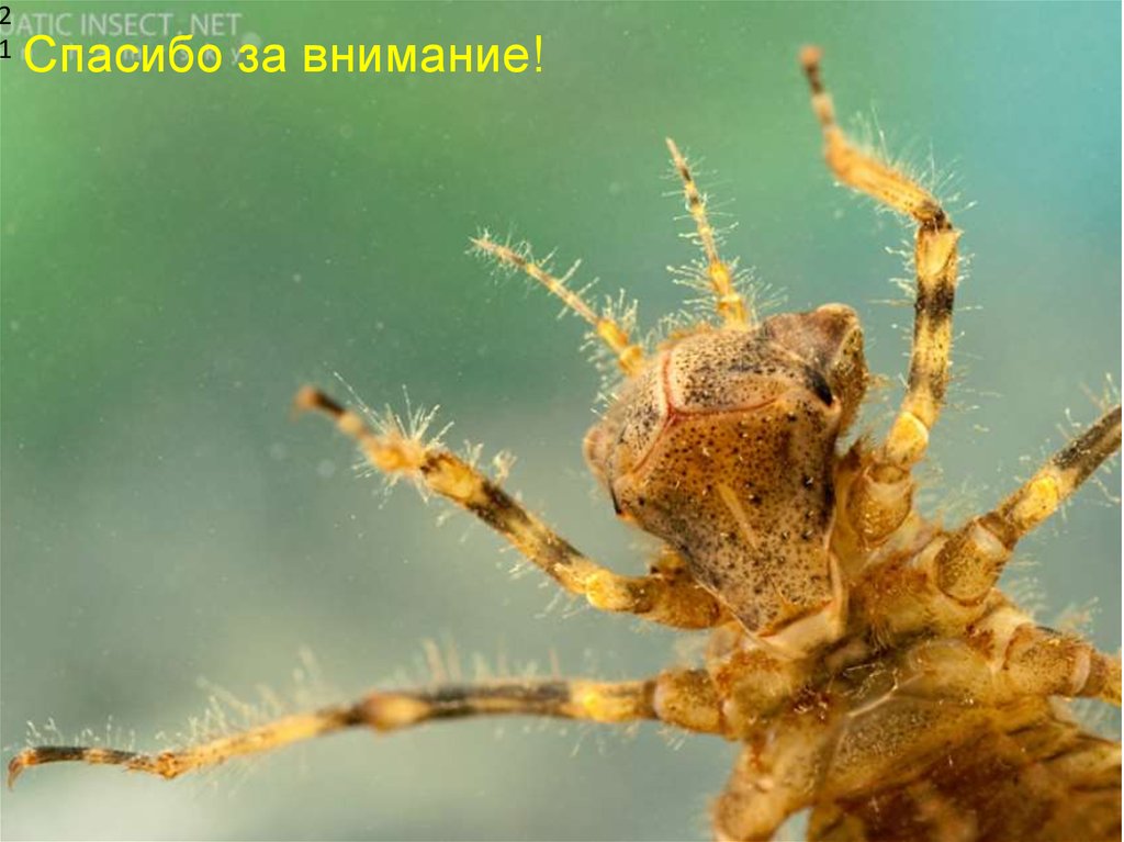 Заключение