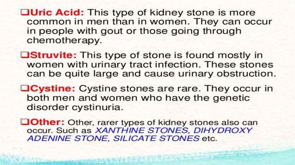 Kidney stone перевод