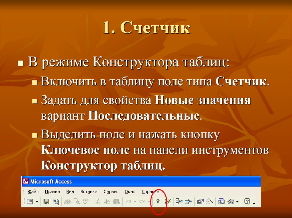 Задать поле. Ключевое поле на панели инструментов. Ключевое поле типа счётчик. Особенность поля типа счетчик. Особенности ключевого поля с типом данных счетчик?.