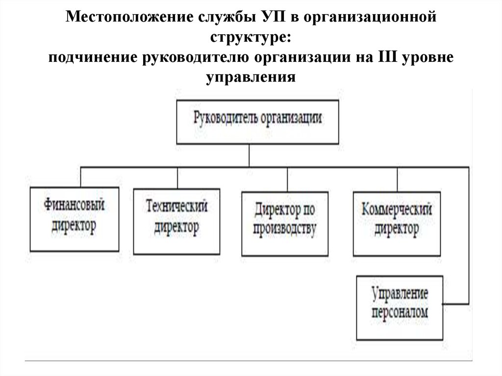 Управленческие службы. Организационная структура кадровой службы организации. Структура подчинения в организации схема. Руководитель направления в организационной структуре. Административный директор оргструктура.