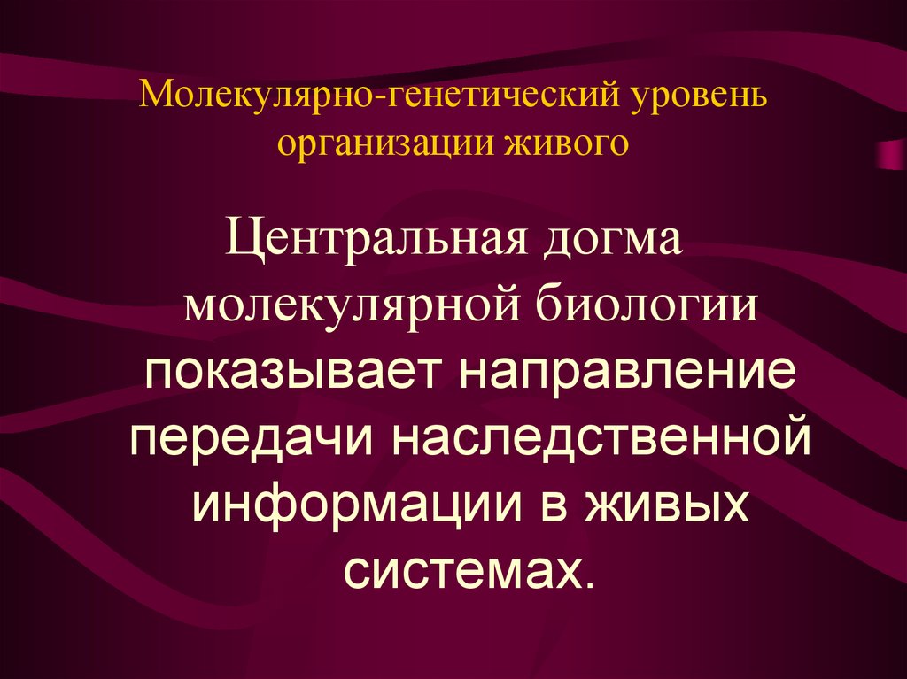 Молекулярно генетическая генетика