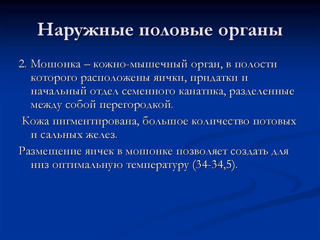 Рак наружных половых органов