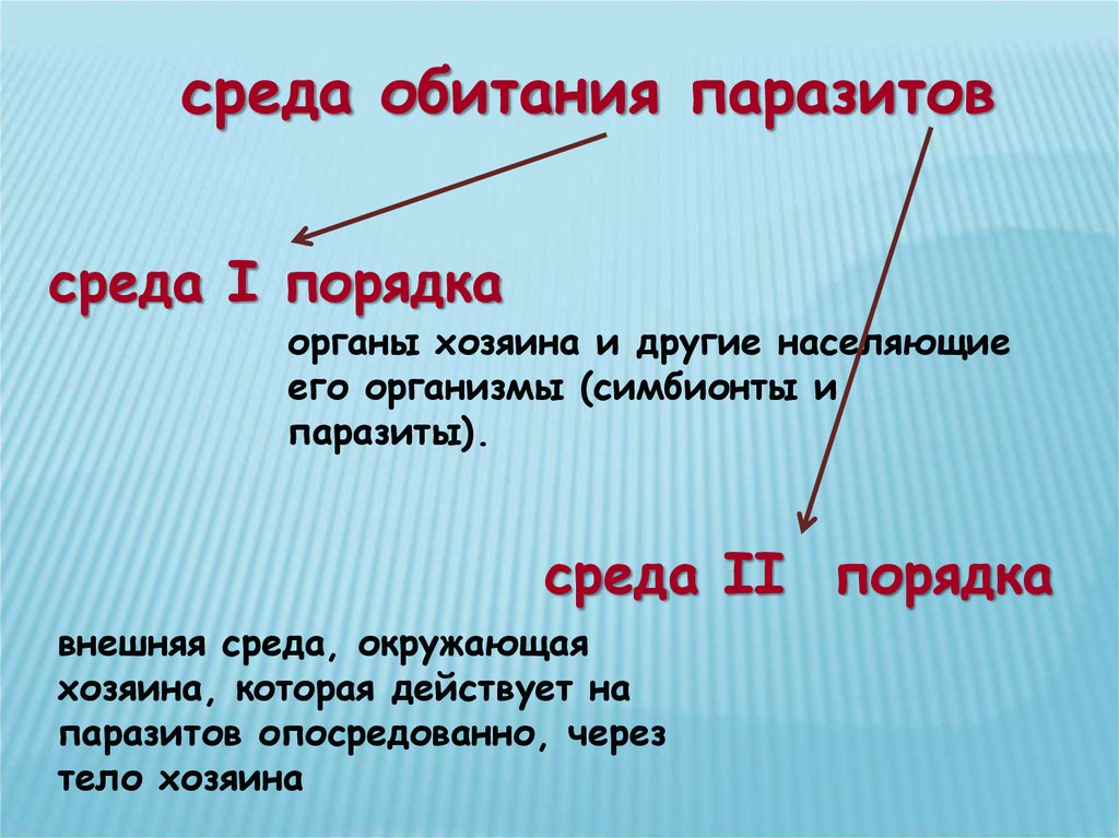 Среда является. Среда обитания паразито. Паразитизм среда обитания. Среда первого порядка это. Среда 1 и 2 порядка.