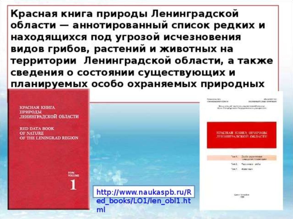 Проект красная книга ленинградской области