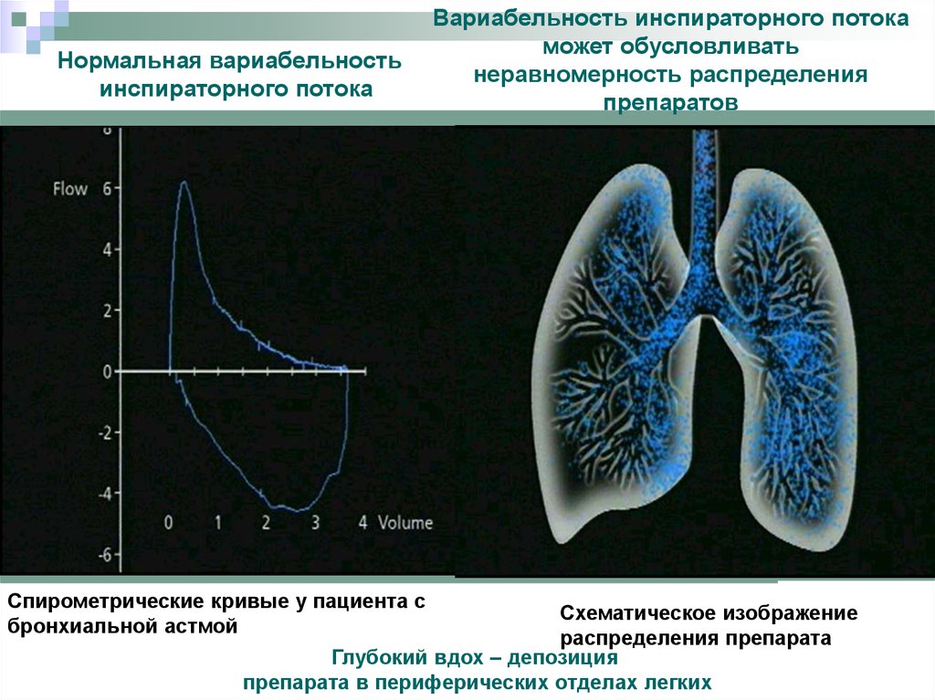 Стол при бронхиальной астме у детей