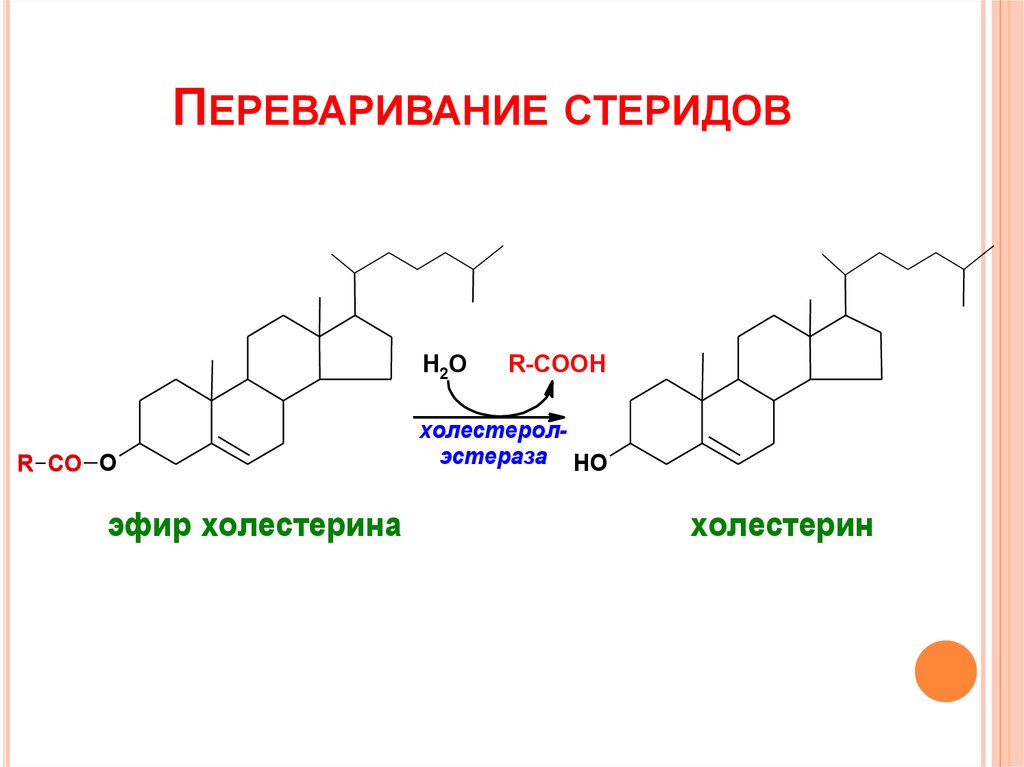 Холестерол