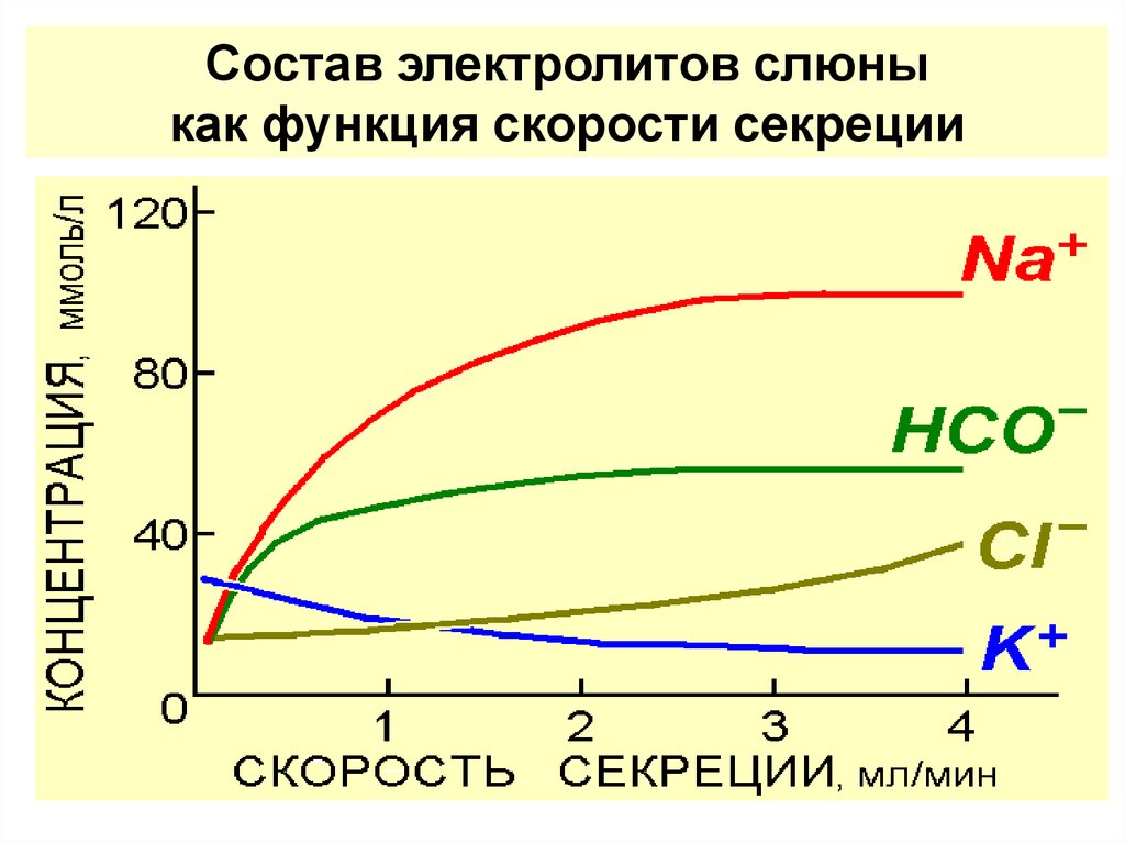 Функция скорости. Зависимость PH слюны от скорости ее секреции. Скорость секреции слюны. Методы определения скорости секреции слюны. Факторы влияющие на скорость секреции слюны.