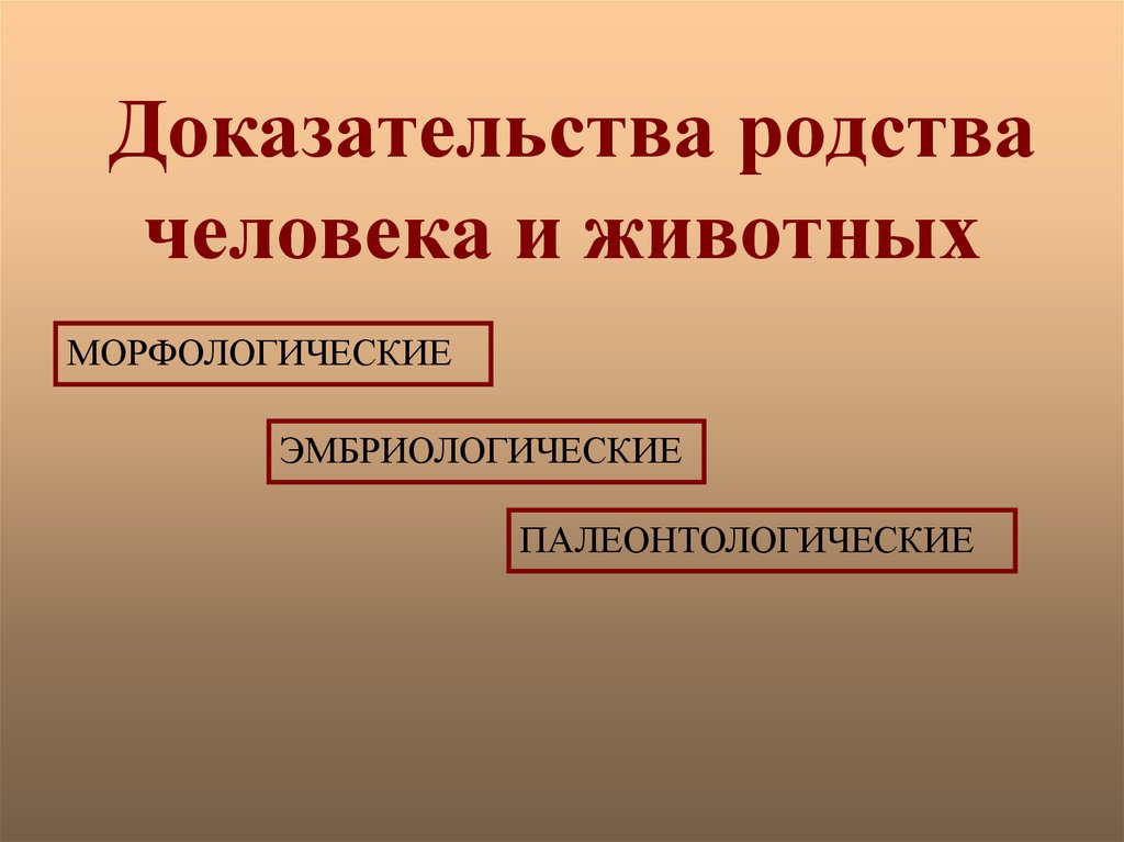 Доказательства родства человека с млекопитающими животными презентация