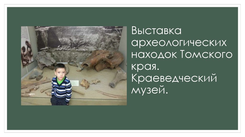 Выставка археологических находок Томского края. Краеведческий музей.