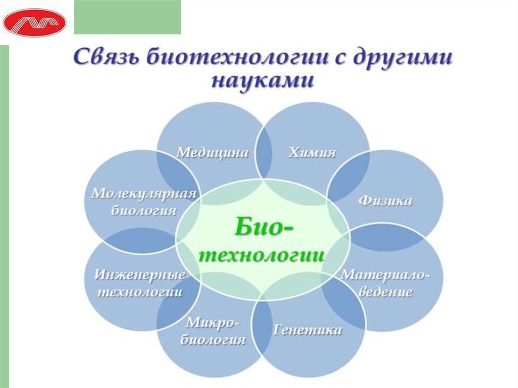 Биотехнология проект 11 класс