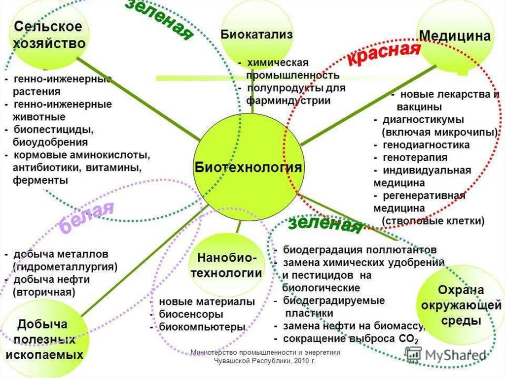 Процессы в сельской. Связь биотехнологии с другими науками. Связь биотехнологии с другими дисциплинами. Биотехнология схема. Биотехнология кластер.