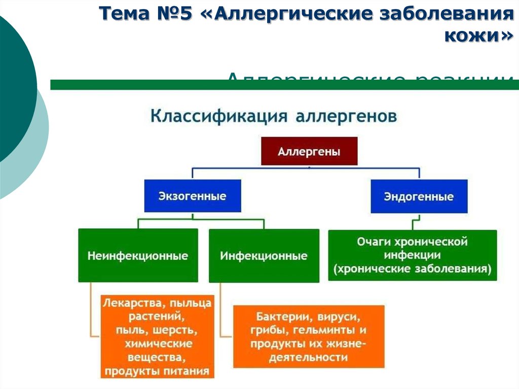 Аллерген это. Химические вещества аллергены классификация. Аллергены экзогенные и эндогенные. Классификация аллергенов: экзогенные и эндогенные аллергены.. Схема виды аллергенов.