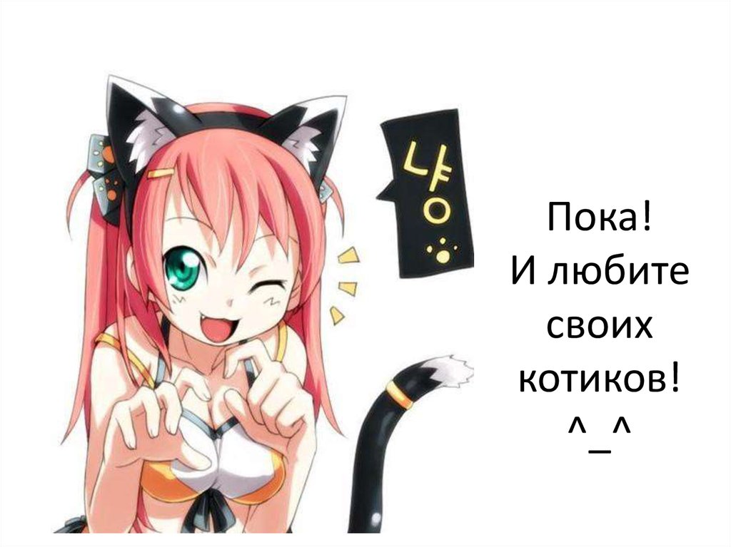 Пока! И любите своих котиков! ^_^