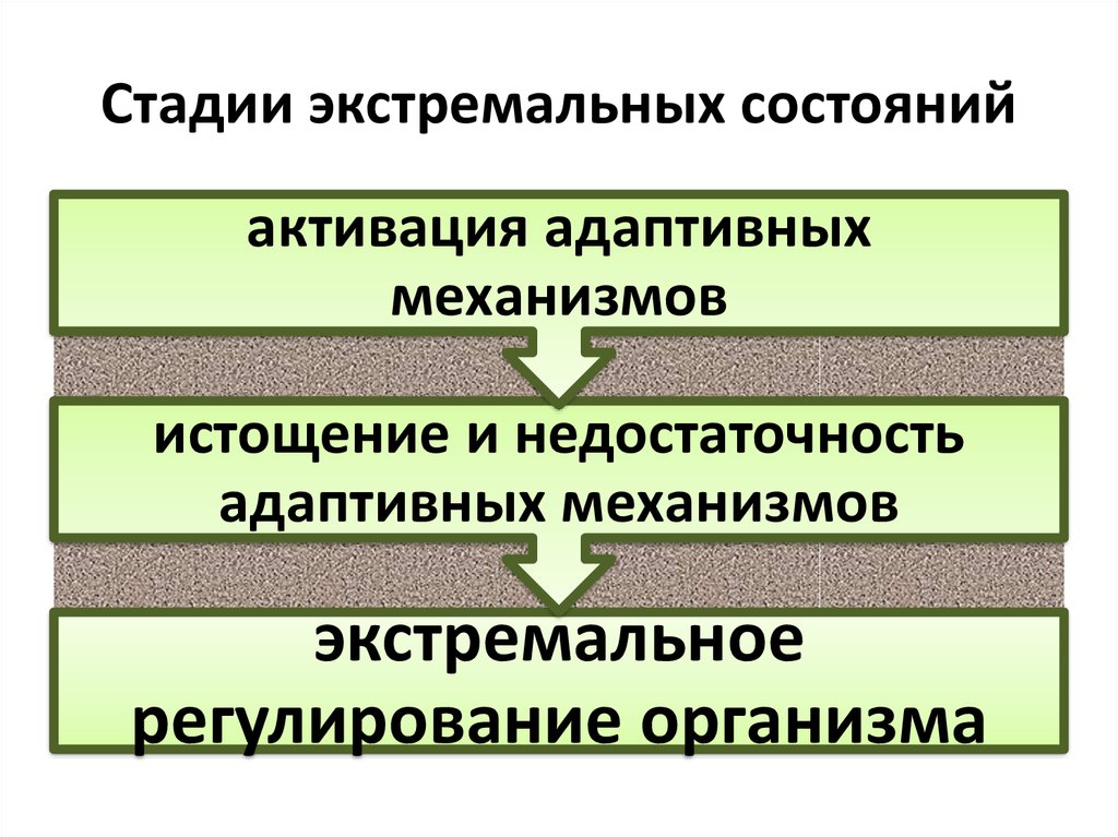 Экстремальные состояния патология презентация