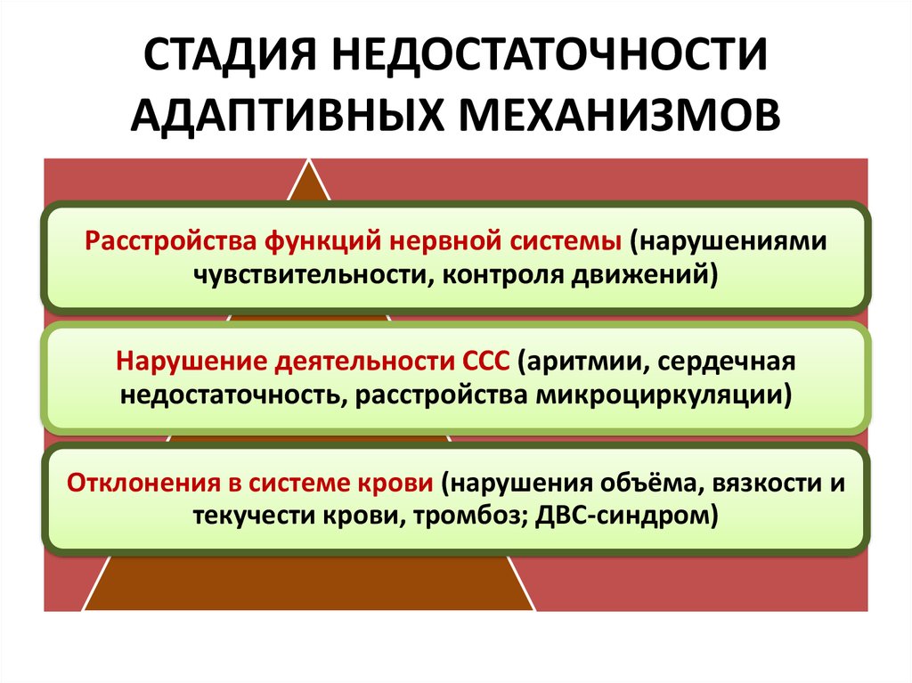 Адаптивные механизмы. Стадия недостаточности адаптивных механизмов. Этапы нарушения адаптационных механизмов. Классификация адаптивных механизмов. Адаптивный механизм виды механизмов.