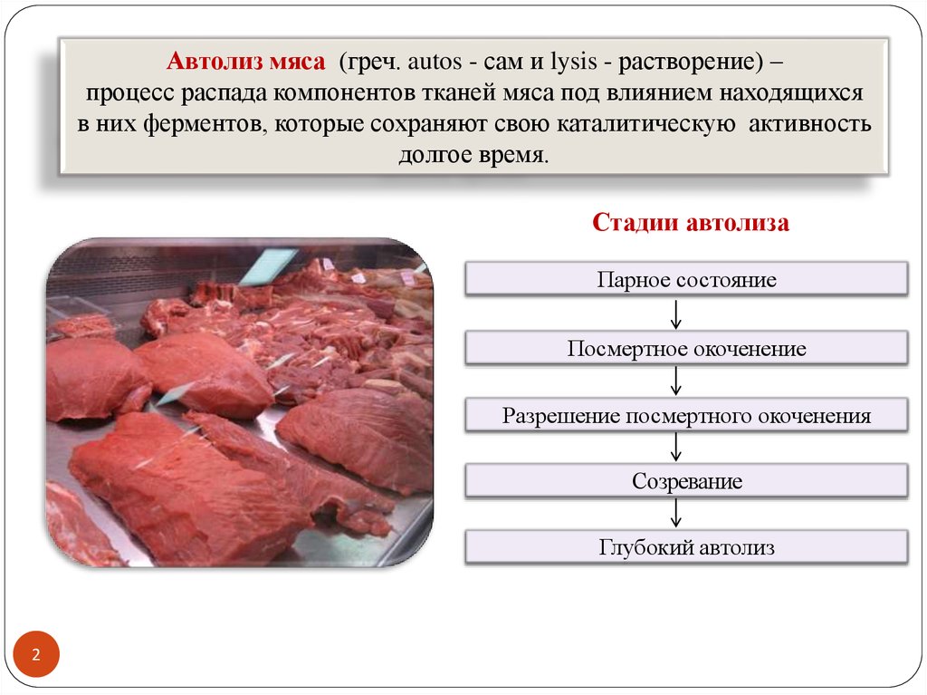 Автолиз клетки. Стадии автолиза мяса.