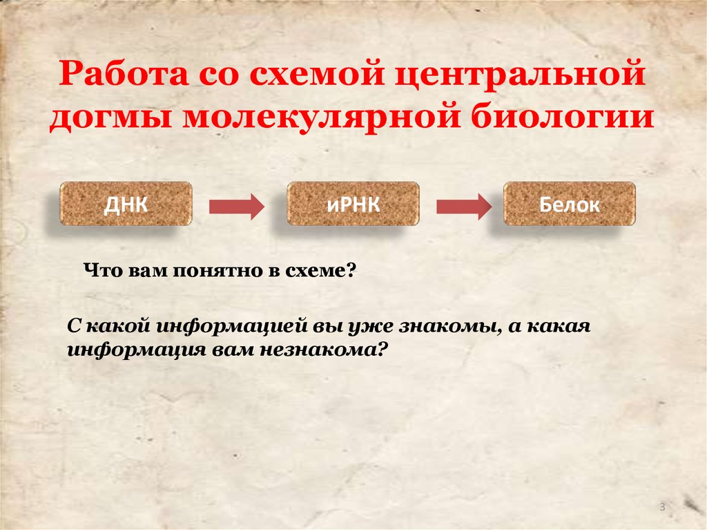 Основная догма биологии. Центральная Догма схема. Центральная Догма биологии. Догма.