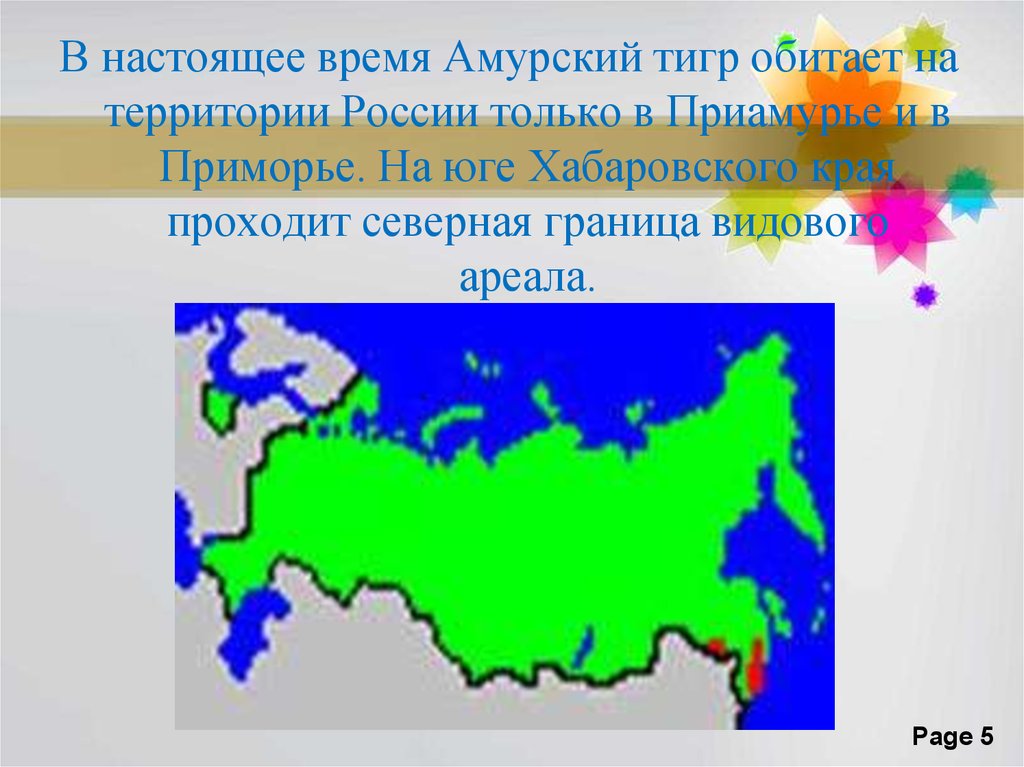 Амурское время. Уссурийский тигр ареал обитания. Ареал Амурского тигра в России. Ареал обитания амурских тигров на карте России. Амурский тигр ареал обитания в 1930г.