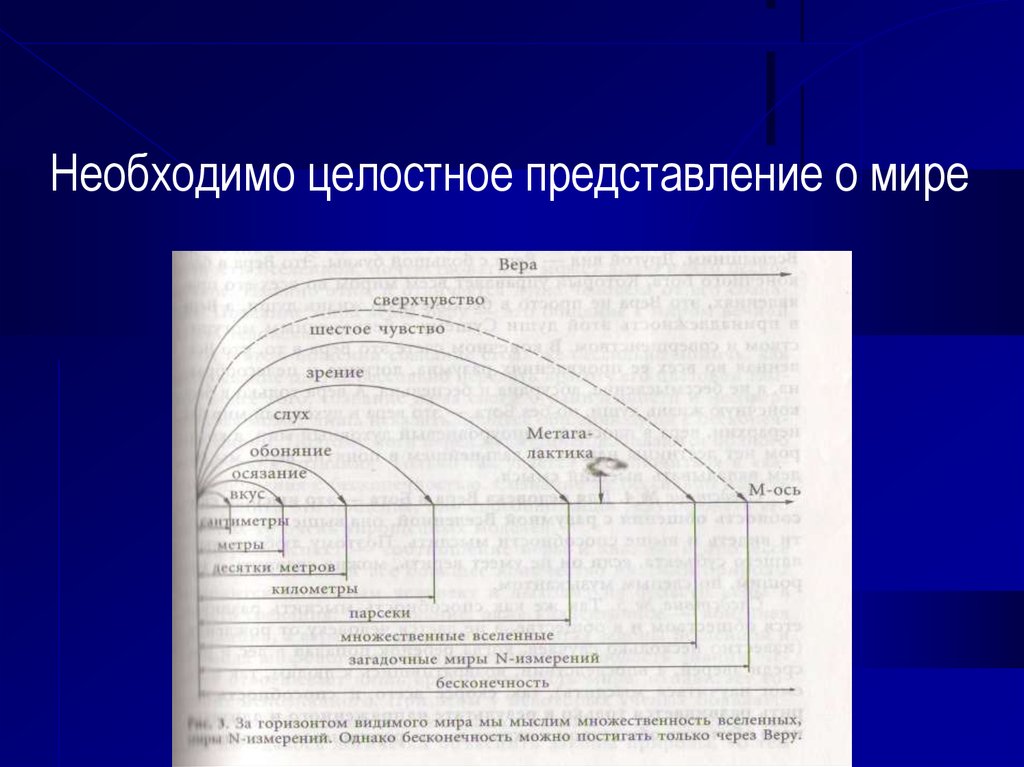 Целостное представление. Целостное представление о мире.