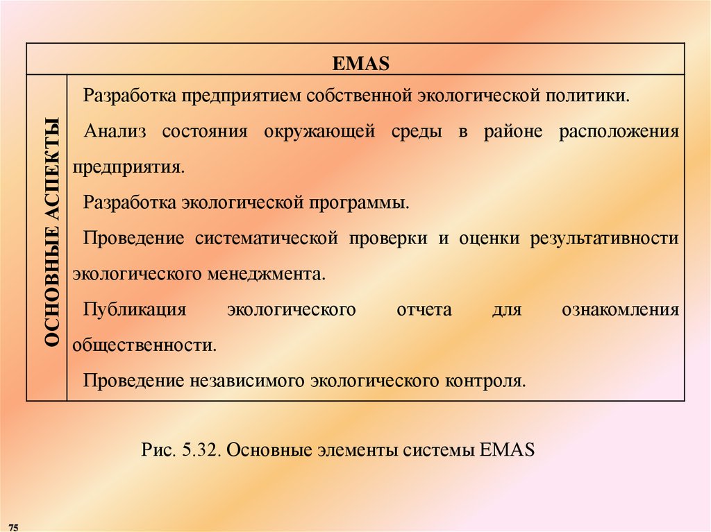 Анализ политики. Принцип разработки Emas.