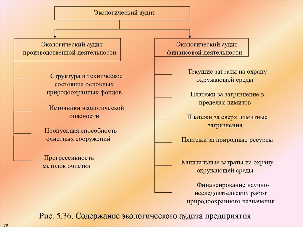 Содержание окружающее. Экологический аудит предприятия. Методы экологического аудита. Экология аудит. Структура экологического аудита.