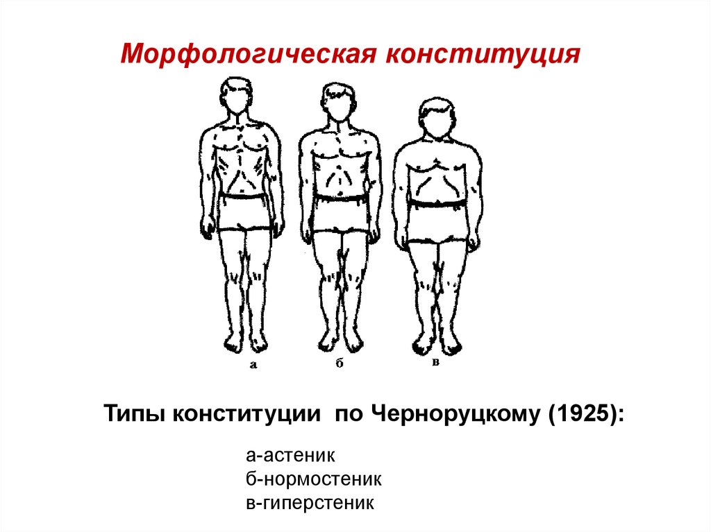 Конституция человека презентация