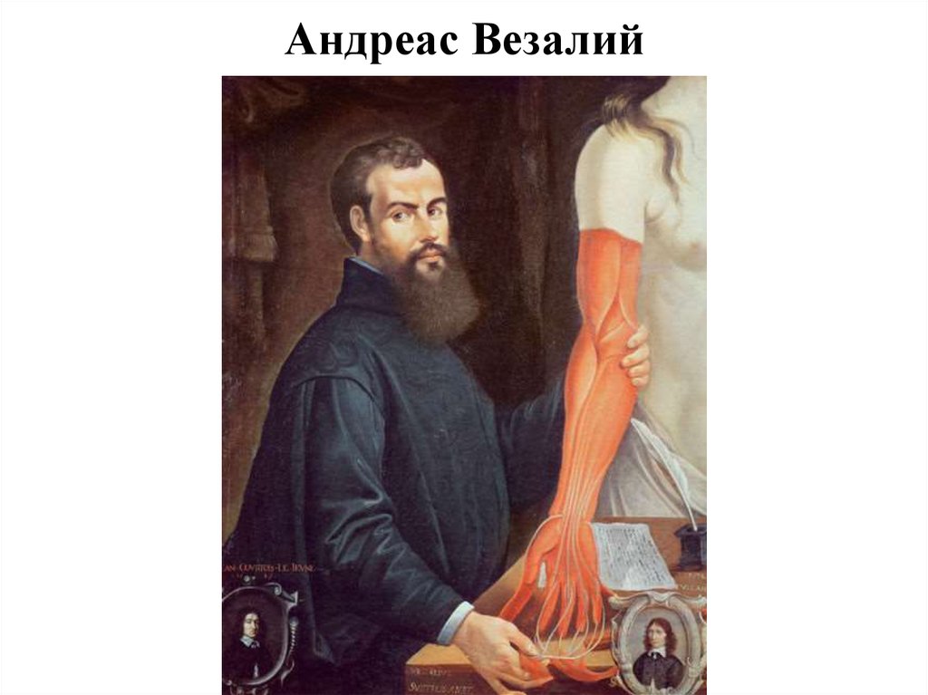 Андреас Везалий