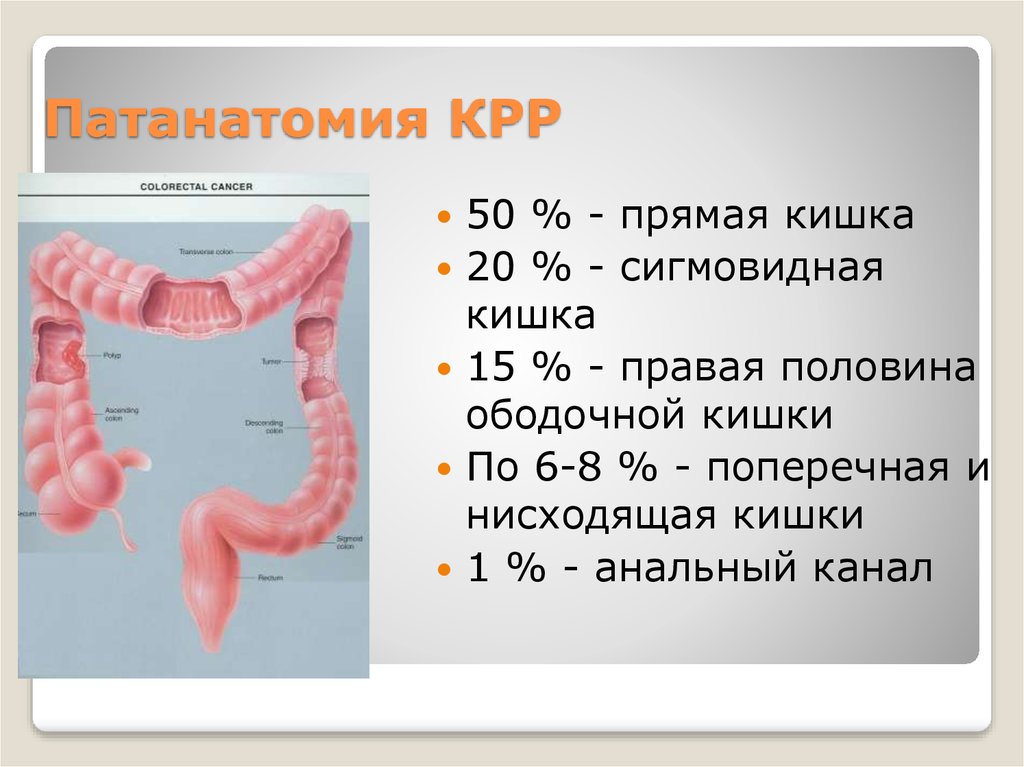 Онкомаркер кишечника цена