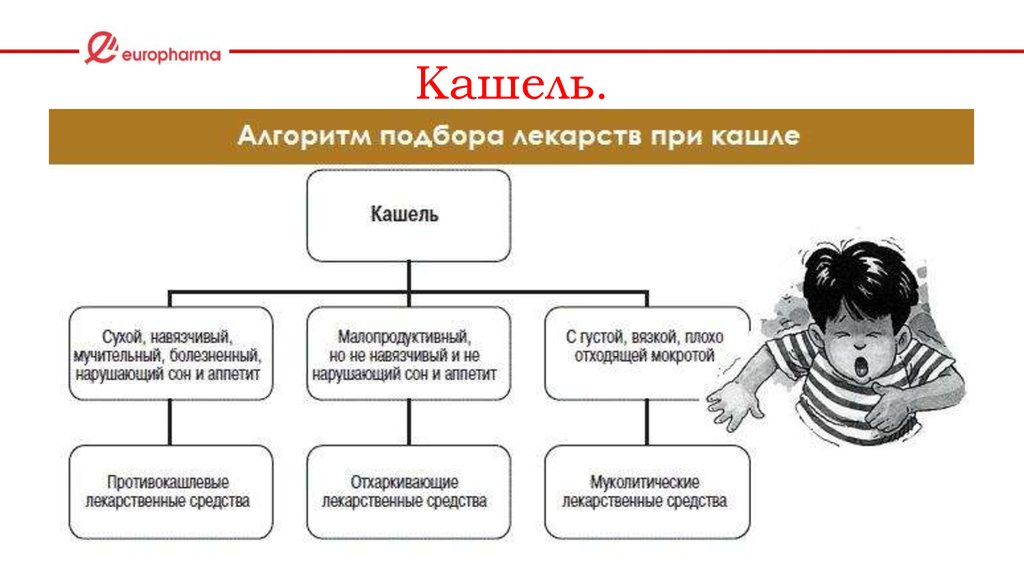 Признаки кашля. Алгоритм подбора лекарств при кашле. Алгоритм выбора лекарственных препаратов при лечении кашля. Схема лечения кашля у детей. Алгоритм выбора препарата при кашле.