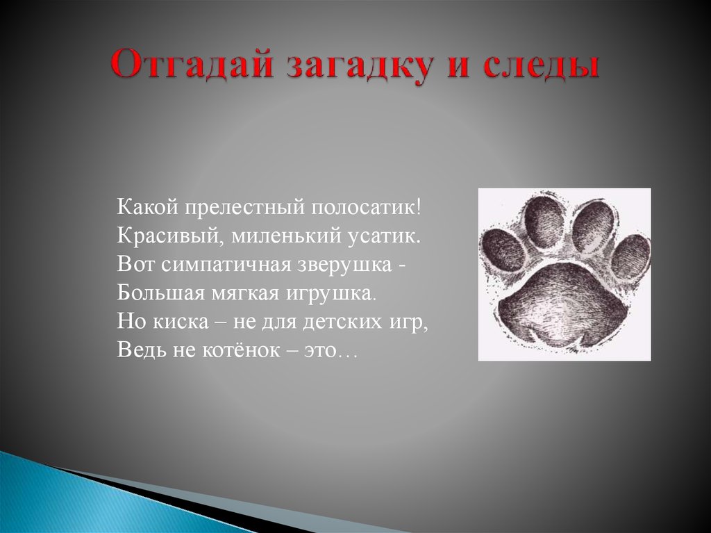 Гагарина след текст. Загадка про следы для детей. Загадка про следы медведя.