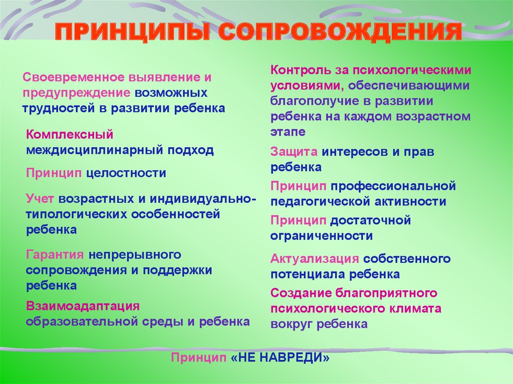 Правила сопровождения. Основные принципы сопровождения. Принципы сопровождения ребенка. Основные принципы сопровождения детей. Базовые принципы сопровождения.