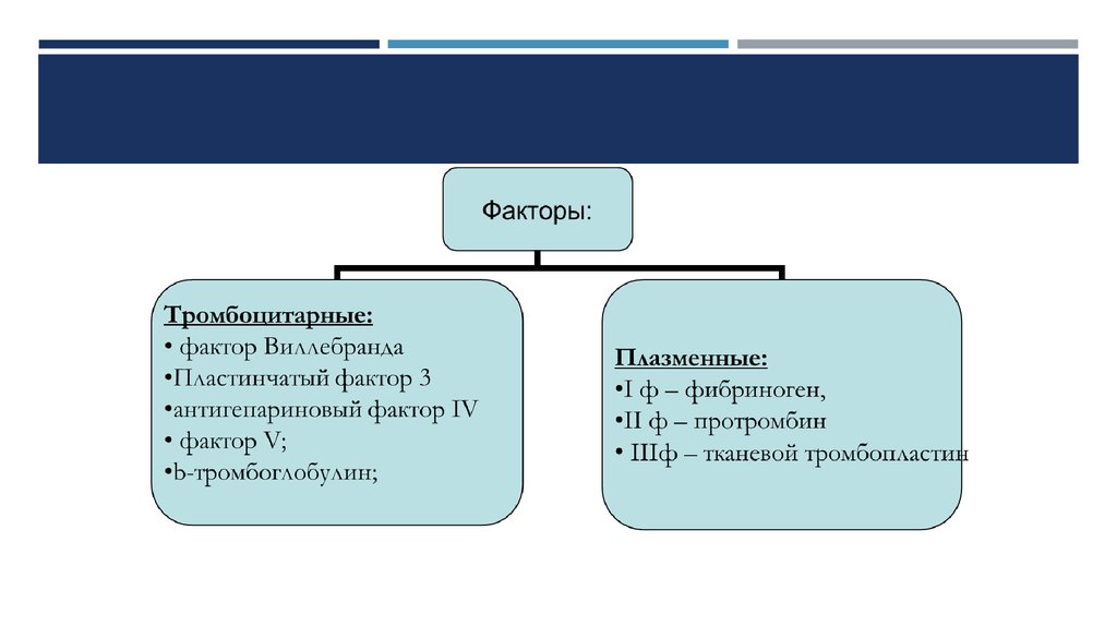 Тромбоцитарные факторы. Проблема человека в философии. Проблема сущности человека. Сущность человека в философии. Проблема определения сущности человека.