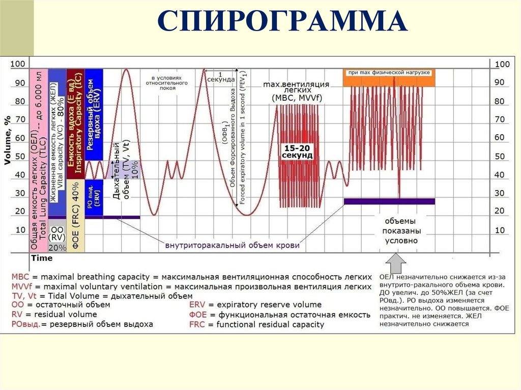 1 нарисовать спирограмму