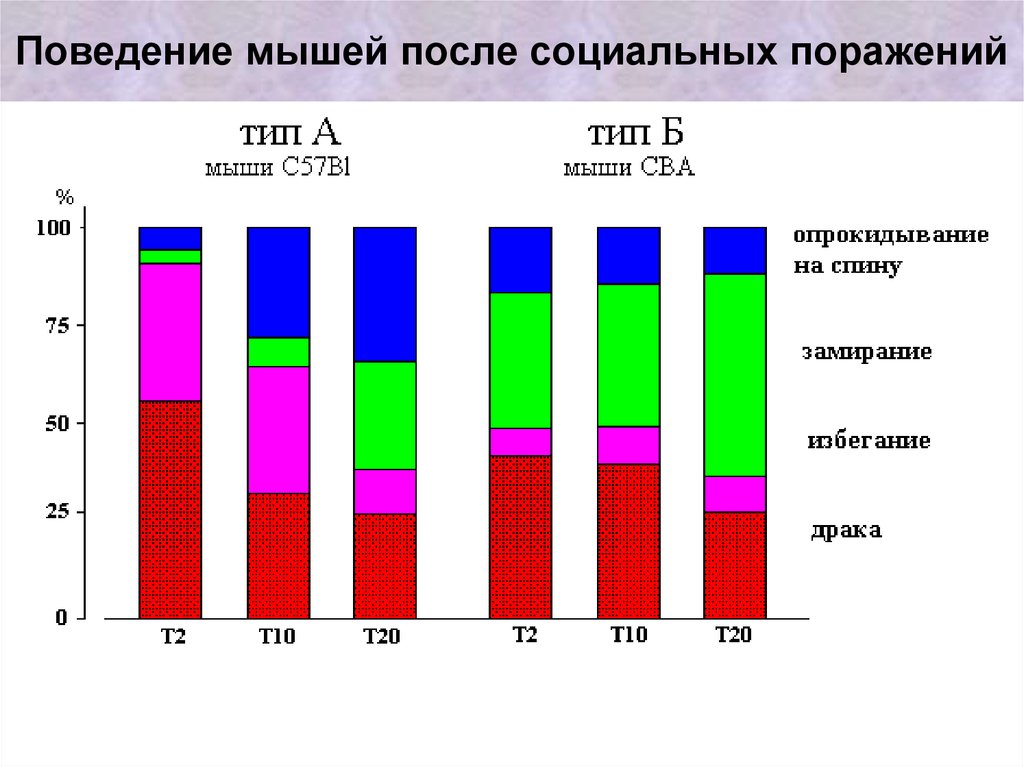 Индивидуальное поведение