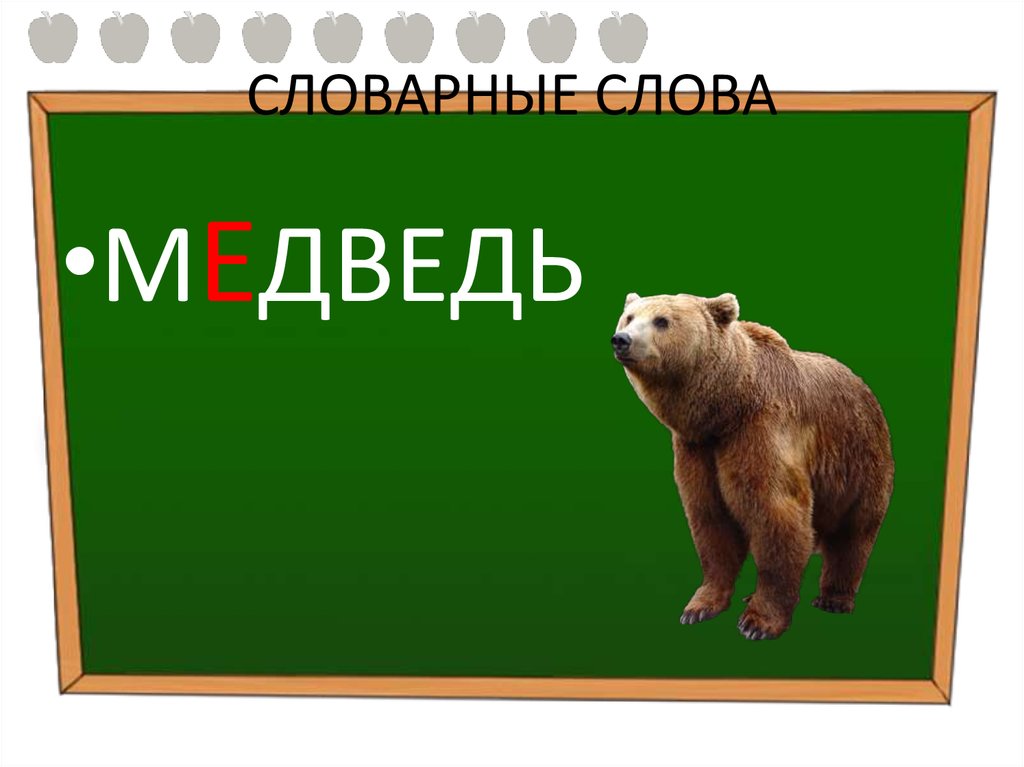 Медведь какой слова признаки