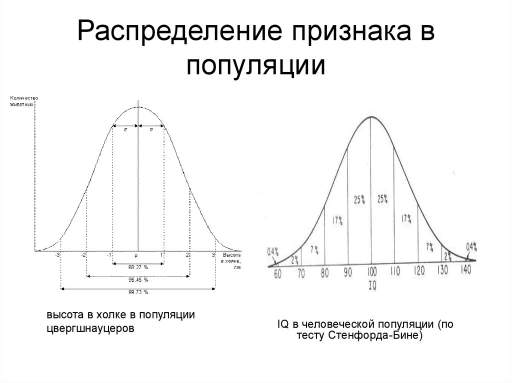 Частота признака в популяции. Кривая распределения признака. Распределение популяций. Распределение признака в популяции. Нормальное распределение признака в популяции.