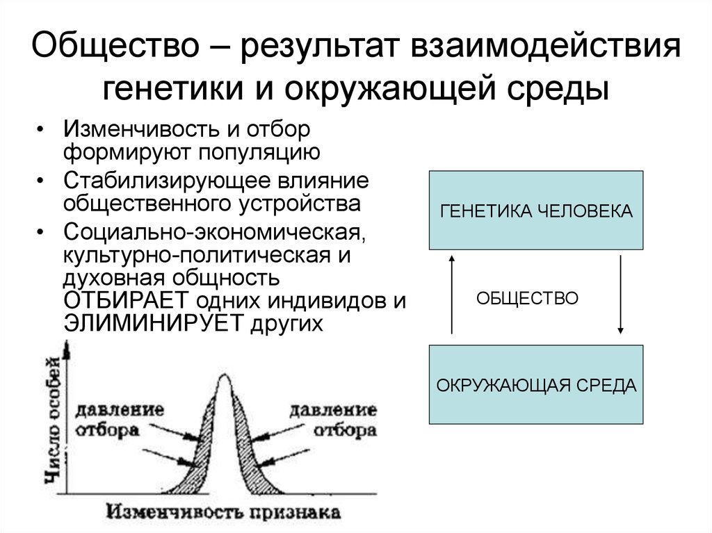 Результат обществу. Влияние среды на генотип. Взаимодействие окружающей среды и генотипа. Взаимодействие генотипа и среды кратко. Влияние генетики и окружающей среды.