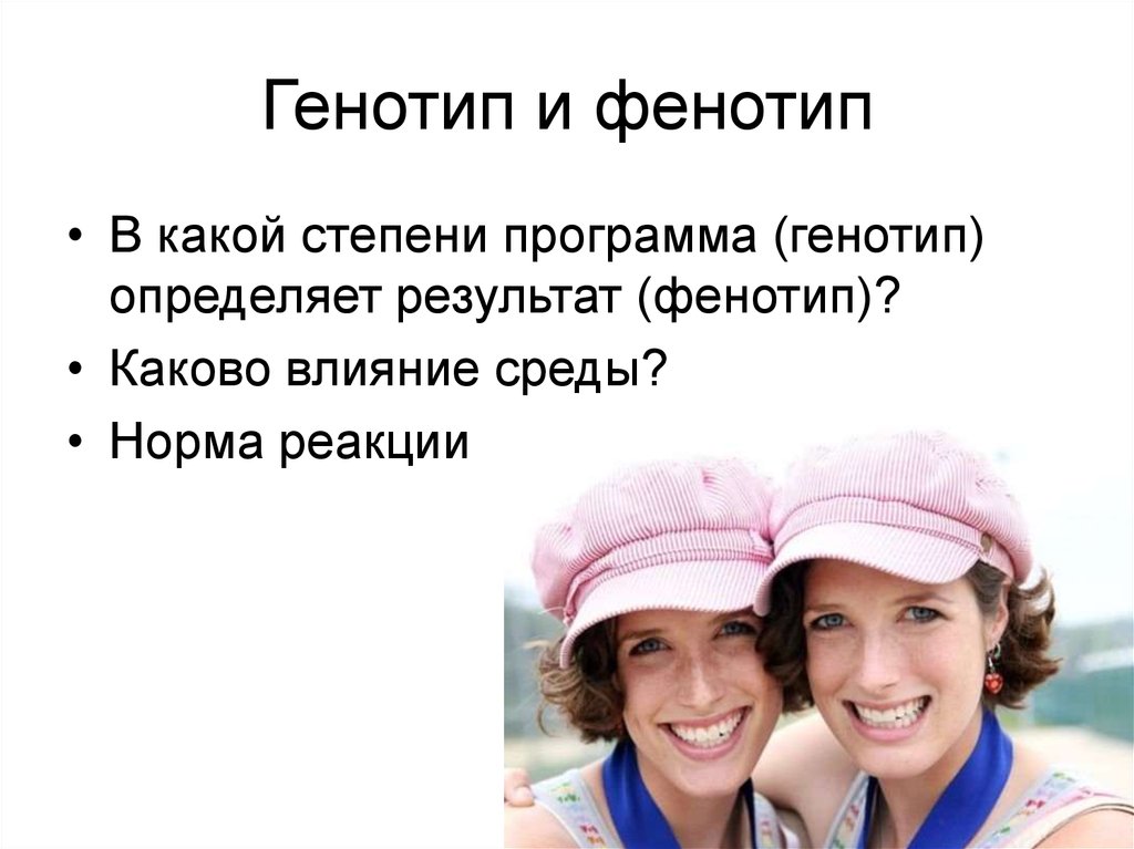 Нормальный генотип женщины. Фенотип это особенности поведения. Генотип фото. Генотип итальянцев. Анатолийский фенотип.