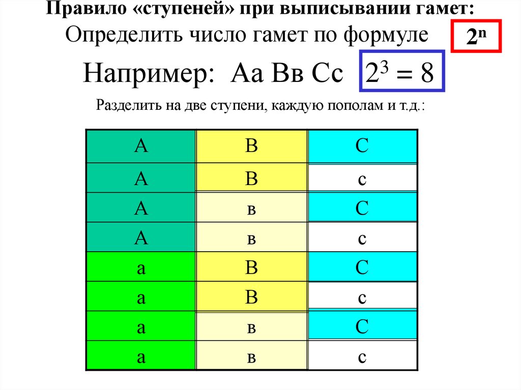 Сколько типов гамет. Формула вычисления гамет. Формула для определения количества типов гамет. Формула нахождения количества гамет. Число типов гамет определяется по формуле.