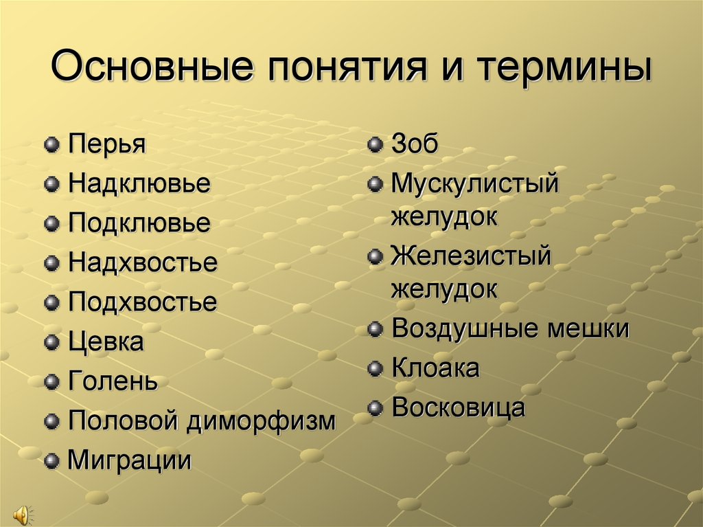 Основные понятия и термины