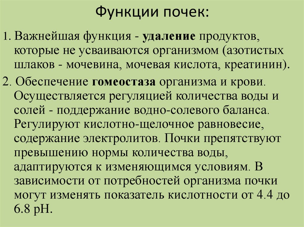 Функции почек