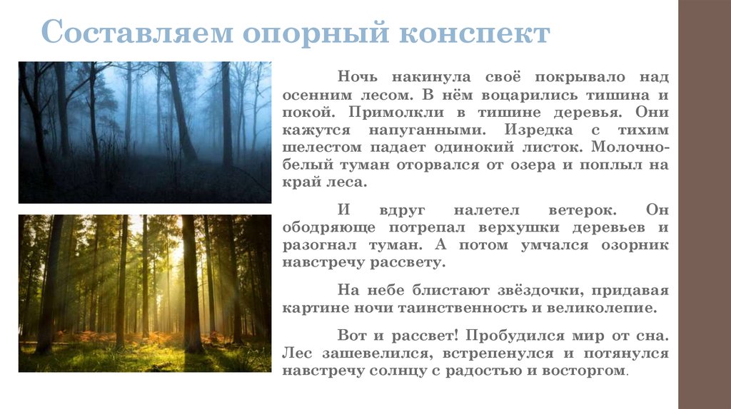 Дождь в лесу сочинение. Рассуждение на тему осень в лесу. Сочинение рассуждение осенний лес. Поздней осенью в лесу сочинение. Сочинение осенний лес 2 класс.