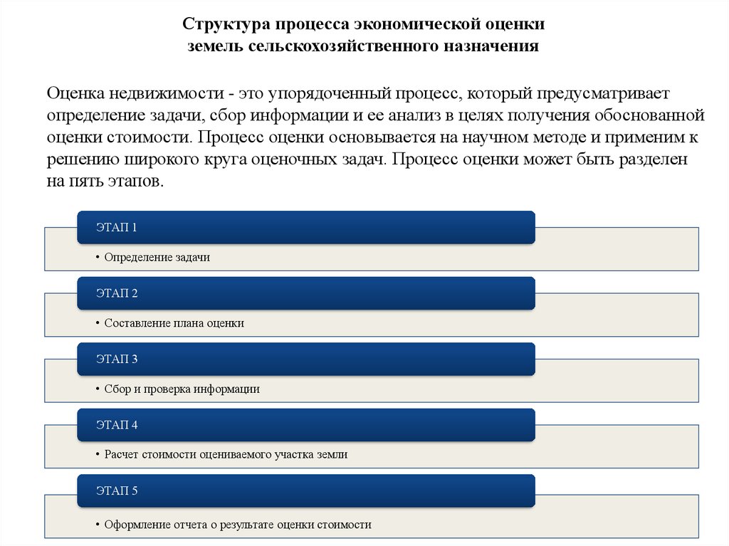 Структура оценки текста