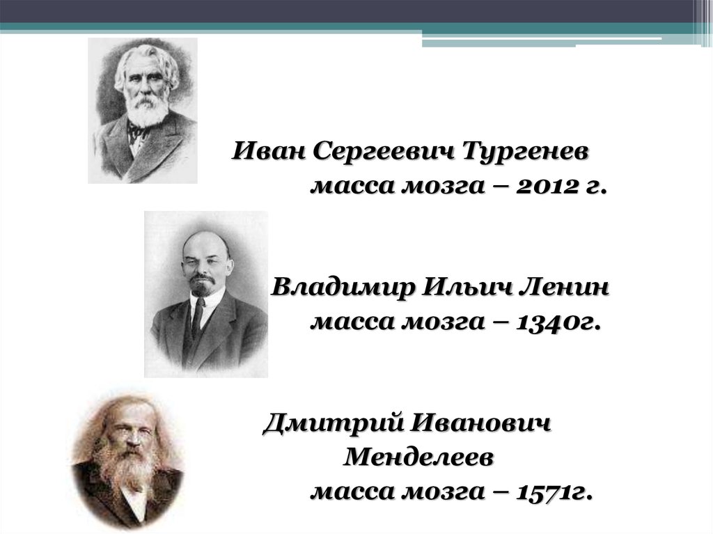 Вес мозга. Иван Сергеевич Тургенев мозг. Масса мозга Тургенева. Тургенев мозг вес. Масса мозга Ленина.