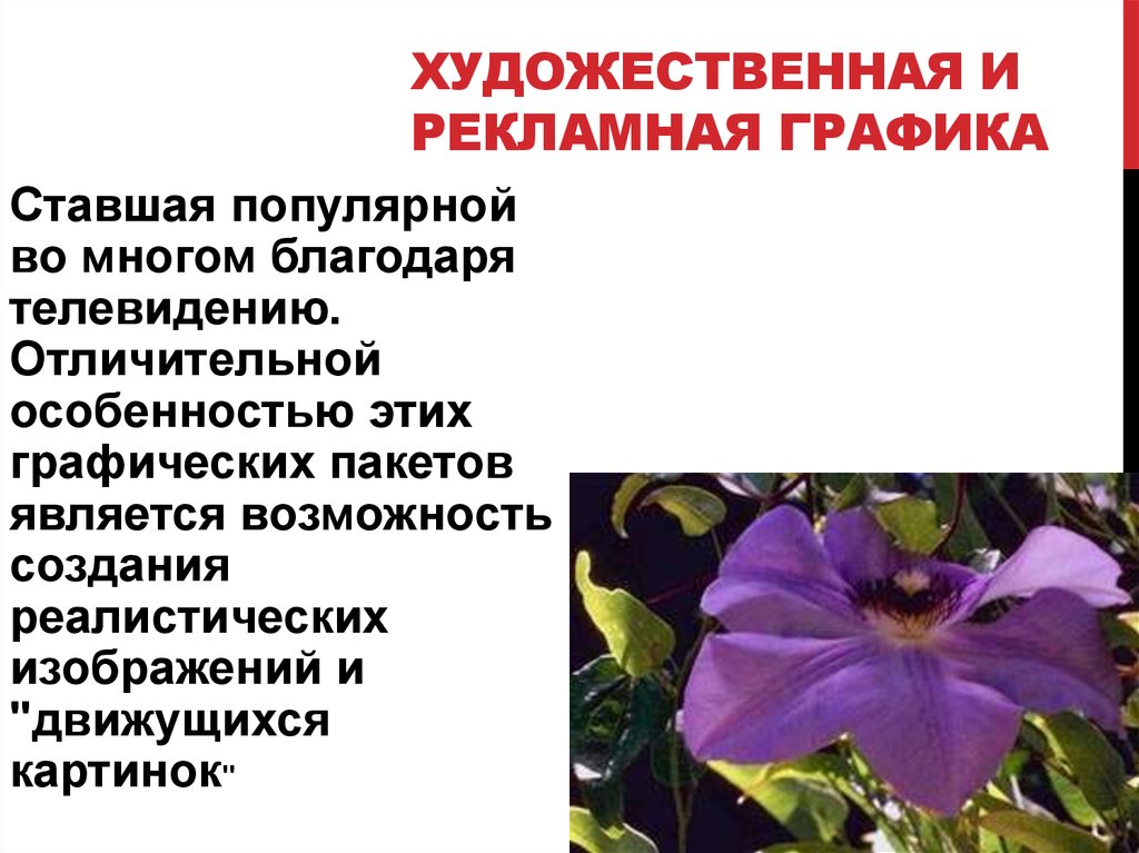 Ставшая популярной во многом благодаря телевидению